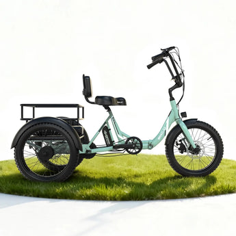 Dexter Jr. - EMOJO - Garage Cycles